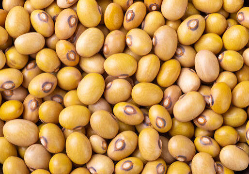 Yellow beans
